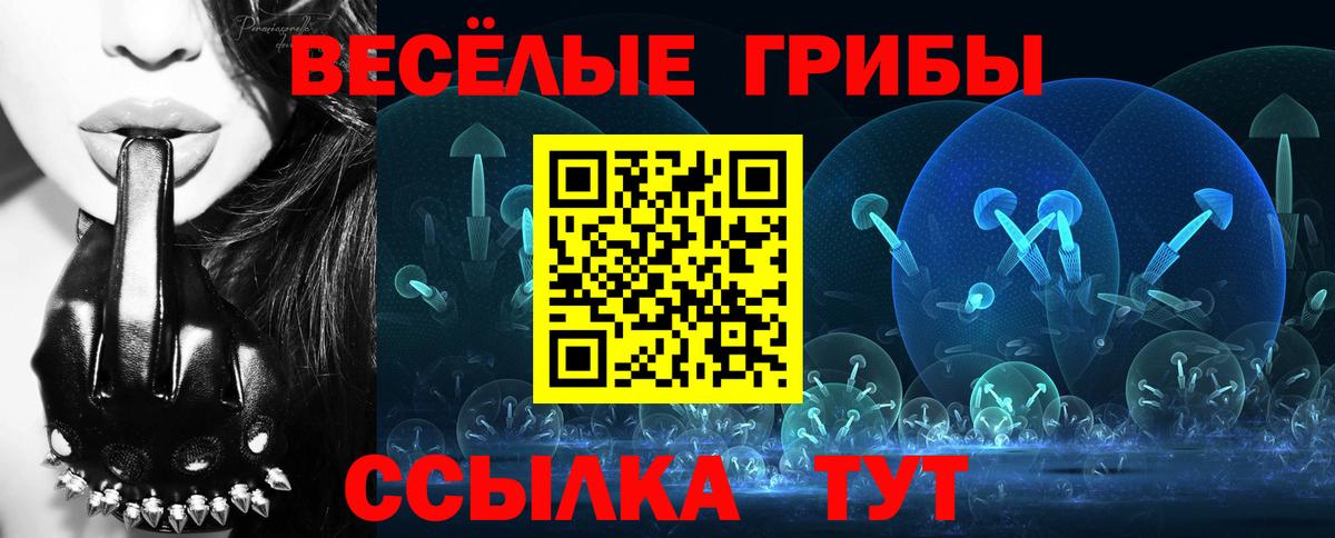 Малгобек  Галлюциногенные грибы Psilocybine cubensis  Вход с VPN  Псилоцибиновые грибы Magic Shrooms 